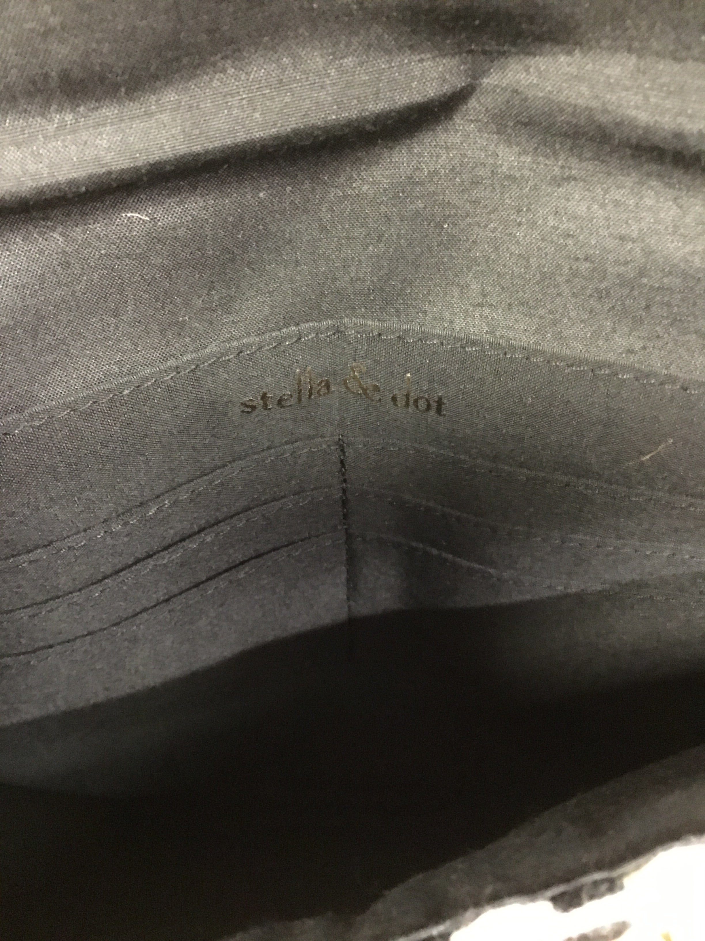 Clutch By Stella And Dot. Size: Large