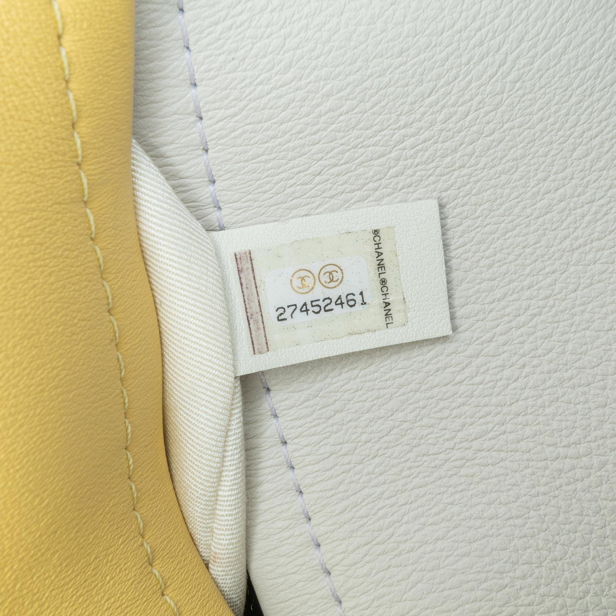 Top Quality Chanel Calfskin Coco Beach Ball Bag (SHG-Bnivbf)