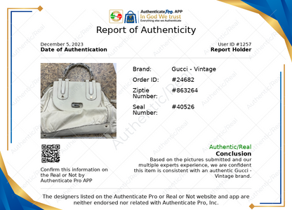 Handbag Luxury Designer Gucci. Size Large
