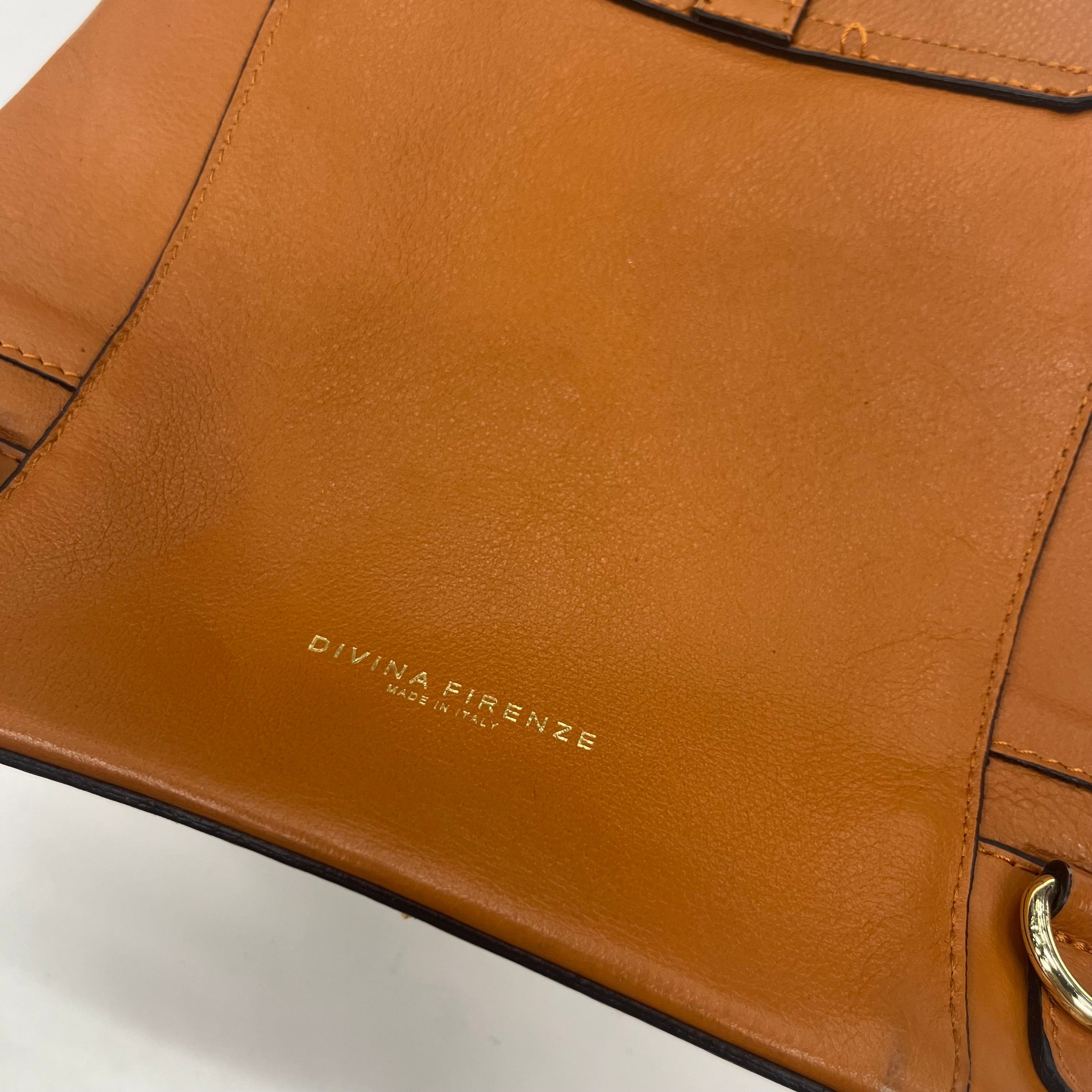 Crossbody Designer Divina Firenze. Size Medium