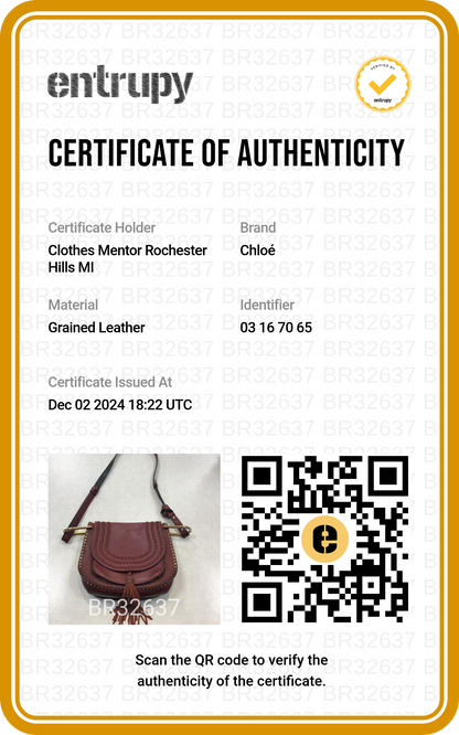 Handbag Luxury Designer By Chloe. Size: Medium