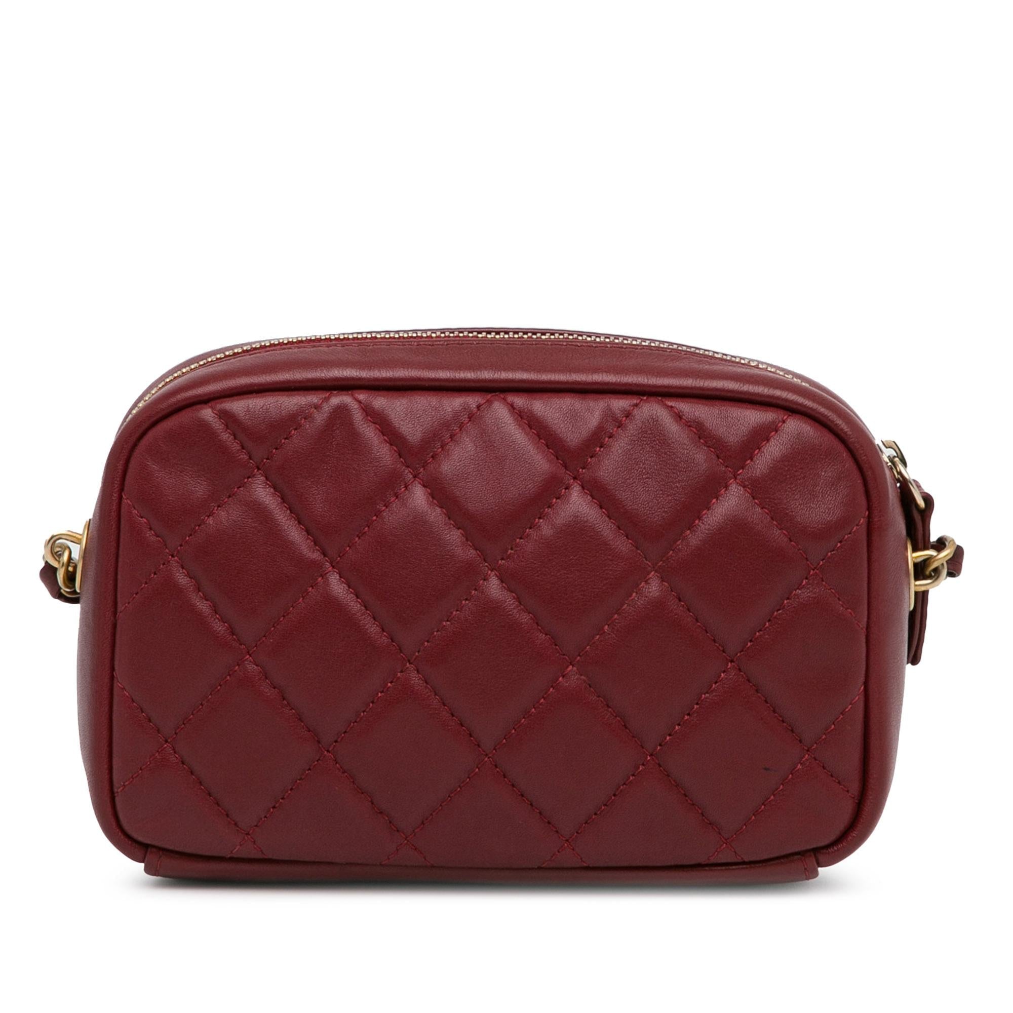 Top Quality Chanel Small Quilted Lambskin Buckle Camera Bag (SHG-xw9Eo6)