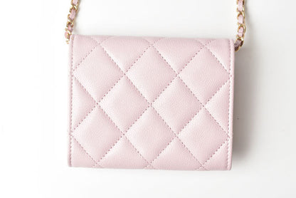 Top Quality Chanel Caviar Skin Chain Mini Wallet/Accessory Pouch AP2138B05437